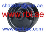 T0931R (RBI)