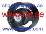 T0925F (RBI)