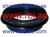 O24086P0 (RBI)