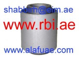 N2406WS (RBI)