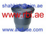 D2464WS (RBI)