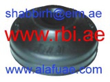 O13088E (RBI)