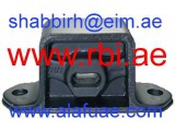 T31070 (RBI)