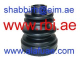 N17P11IZ (RBI)