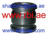 T25082 (RBI)