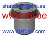 T2482P (RBI)