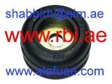 N13270 (RBI)