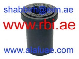 M2041T (RBI)