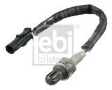 17536 (FEBI)