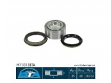 H11013BTA (BTA)