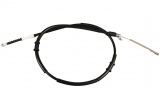 520254 (ADRIAUTO)