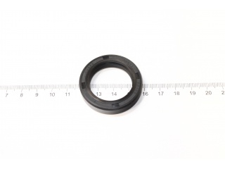 Сальник NJ959 (PAYEN)