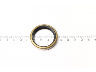 Сальник NJ615 (PAYEN)