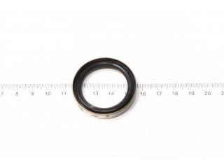 Сальник NJ615 (PAYEN)