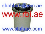 N24C23W1 (RBI)