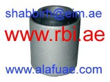 N24A33WS (RBI)