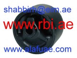 M09CS3LM0 (RBI)