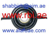 M29430 (RBI)