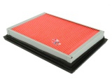 B21029PR (PREMIUM)
