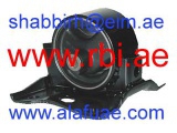 N09P11LZ (RBI)