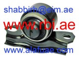 N24P11WLZ (RBI)