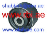 T09C02RB (RBI)
