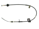 C78029 (JC)