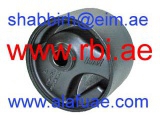 N09J30F0 (RBI)