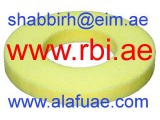 T13U0001 (RBI)