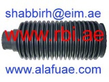 T18L050 (RBI)