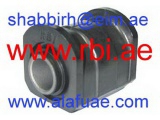 T2495WB (RBI)