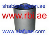 T25GX810 (RBI)