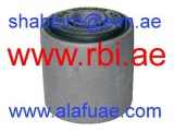 T25244 (RBI)