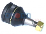 20Z3002OYO (OYODO)