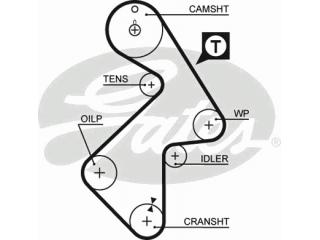 5202XS GATES - Ремень ГРМ - Autoyamato