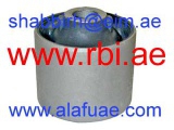 T25KJ215 (RBI)