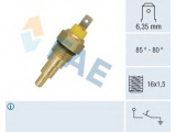 37630 (FAE)