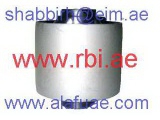 T25S011 (RBI)