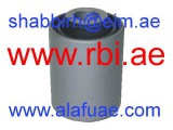 S24L01S (RBI)