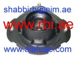 T13S01F (RBI)