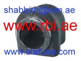 T21RV02E (RBI)