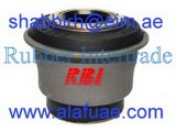 T24G10PS (RBI)