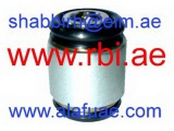 T25C010 (RBI)