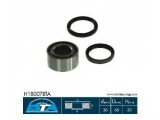 H18007BTA (BTA)
