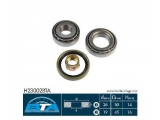 H23002BTA (BTA)