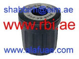 D2002T (RBI)