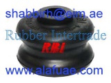 N1308PS (RBI)