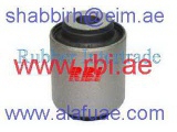 O250080 (RBI)