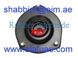 T13C02EL (RBI)