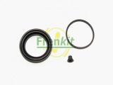 254099 (FRENKIT)